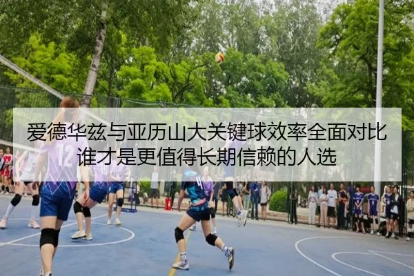 爱德华兹与亚历山大关键球效率全面对比谁才是更值得长期信赖的人选